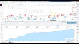 Altcoin Trading Bot setup with Autoview and Poloniex