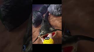 Как поймать сома руками нудлинг 