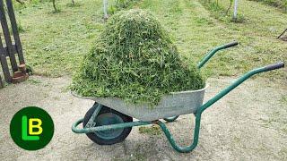 Whan you see this, you'll never throw grass clippings in the trash again