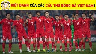 Tổng Hợp Những Biệt Danh Hài Hước Của Các Cầu Thủ Tuyển Việt Nam Mà Người Hâm Mộ Chưa Chắc Đã Biết