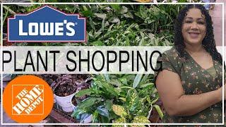 Plant Shop With Me @ Lowes + Home Depot #plants #houseplants #homedepot #lowes #shopping #bigbox