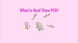 Real Time PCR - Basic simple animation - part 1 intro HD