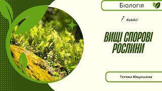 Урок 18. Вищі спорові рослини. 7 клас. НУШ