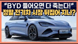 "BYD 들어오면 다 죽는다!" 정말 국내 전기차 시장 뒤집어 지나?