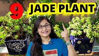 JADE PLANT - COMPLETE CARE GROWING TIPS PROPAGATION /IS JADE INDOOR? #jadeplant #gardening #plants