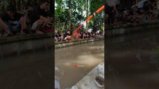 Aku Ikut Lomba Mancing Air Deras Ikan Lele #shorts #lombamancing #lombamancingairderas