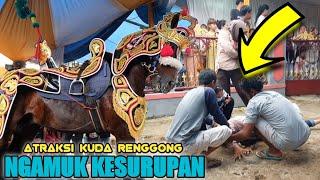 Kuda renggong - Atraksi kuda renggong ngamuk kesurupan