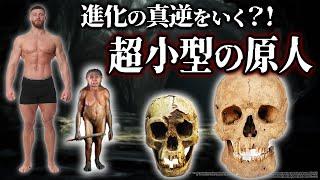 【ゆっくり解説】フローレス原人の起源　学者を混乱させたホビットとは？