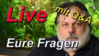 LIVE - mit Q&A #542 - Deine Fragen an den Aquarium-Profi - Stelle dein Aquarium live vor