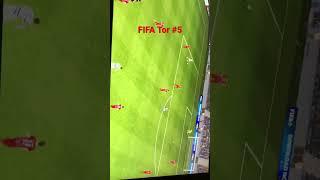 FIFA Tor #5