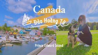 Khám phá hòn đảo thơ mộng nhất Canada | Cuộc sống Canada | Vyvu Coco