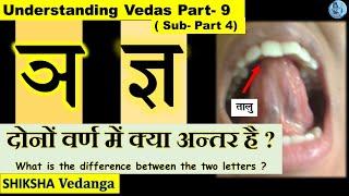 Pronunciation place of  इ ,चवर्ग ,य ,श Difference between ञ , ज्ञ उच्चारण (Practical demonstration)