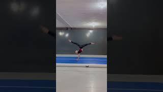 Fatos sobre a vida kkkk #bailarina #artista #ginastica