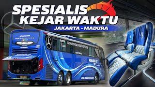 PENDATANG BARU LANGSUNG PAKAI BUS PREMIUM‼️Trip Jakarta - Madura with Pandawa 87 Mercy 2542 PARIS