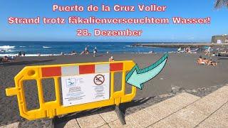 Tenerife - Puerto de la Cruz -  Full beach despite water contaminated with faeces - December 28th