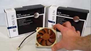 Noctua NH-L9 Overview and Unboxing at HiTechLegion.com