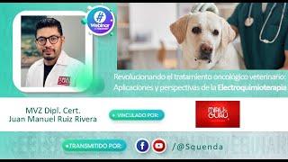 Revolucionando el tratamiento oncológico veterinario - MVZ Juan Manuel Ruiz Rivera