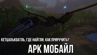 Кетцалькоатль ARK MOBILE | Кетцалькоатль Арк Мобайл, где найти? Как приручить? |