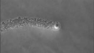 Staphylococcus aureus moves in “comets”