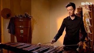 KLX 27 (Antoine Cellier: marimba & Alexandre Cellier: accordion)