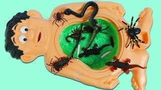 Mr. Play Doh Head's Slime Belly Full Of Gross Bugs And More!