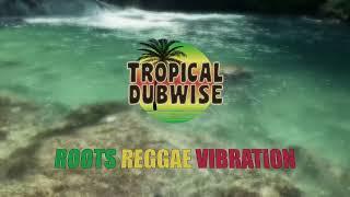 Tropical Dubwise, Sly Dunbar, Robbie Lyn, Chinna Smith - Roots Reggae Vibration | Official Video