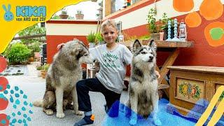 Sid und seine Huskys | ICH bin ICH | Mehr auf kikaninchen.de