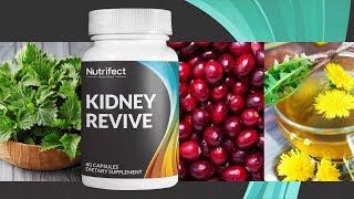 Kidney Revive Supplement Hightlight