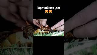 Лучший момент на природе!