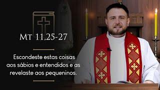 Homilia Diária | Quarta-feira - Bem-aventurado Inácio de Azevedo e companheiros mártires Mt 11,25-27