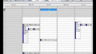 GoldMine CRM Calendar Options www.wizard-systems.com