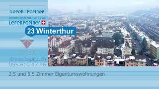 Dreieckspitz-Winterthur-30Sek-Dez2022-Lerch&Partner-lerchpartner.ch