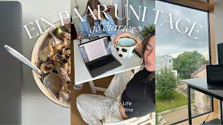 ein paar Tage im Lehramtsstudium: breakdowns, reading journal, kochen, ... ll gö diaries by Liza