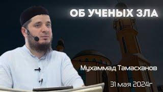 Об ученых зла | 31 мая 2024г | Тамасханов Мухаммад