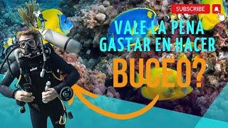 BUCEO EN COZUMEL, REALMENTE VALE LA PENA ?