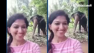 കിട്ടേണ്ടത് കിട്ടിയാലേ ചേച്ചിമാർ പഠിക്കോളൂ..| Elephant video | hathi | elephant funny video