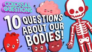 10 Wildest Questions About Our Bodies! | COLOSSAL QUESTIONS