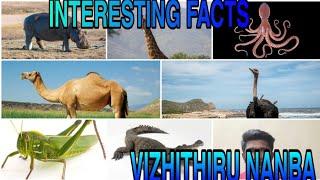 Interesting facts of animals// tamil // vizhithiru nanba