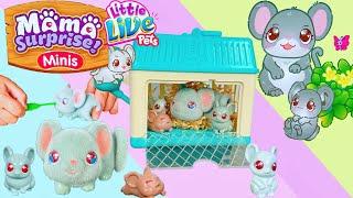 New Little Live Pets Mama Surprise Minis - Lil' Mouse Toy Unboxing | BEST LITTLE PET | Super Cute