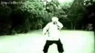 Fu Zhong Wen performing Yang Style Taiji 1a