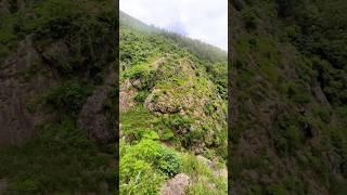 Ranajilleda Waterfalls Forest #ranajilledawaterfalls #araku #waterfalls #ytshorts