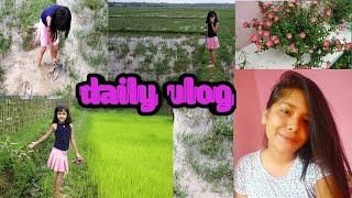 Mur kijupamn plantআমাৰ পথাৰখন//assamese girl channel//siya Dutta//oxygen plant//daily vlog