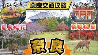 奈良一日遊 必玩的6個景點 東大寺、奈良公園、春日大社、水谷茶屋、若草山、二月堂 I 京都(大阪)前往奈良的交通攻略及奈良巴士的搭車地點 I 奈良櫻花及奈良楓葉全攻略