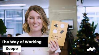 The Way of Working: Scope