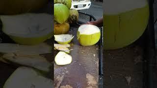 Incredible Coconut Cutting: Skills on Display!