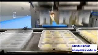 Automatic quick frozen dumpling Jiaozi production line