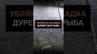 УБОЙНАЯ НАСАДКА, дуреет вся рыба! #рыбалка #насадкадлякарася #рыба