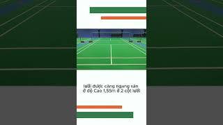 Hướng Dẫn Thiết Kế Sân Cầu Lông Chuẩn Quốc Tế: Tiêu Chuẩn, Kích Thước & Bản Vẽ Chi Tiết
