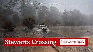 FREE Camping NSW - Stewarts Crossing