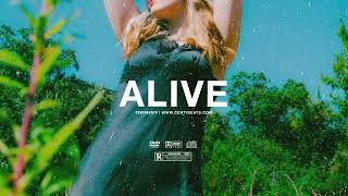 (FREE) Swae Lee ft Rema & Burna Boy Type Beat "Alive" | Free Beat | Dancehall Pop Instrumental 2024